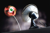 Fan and Pinwheel